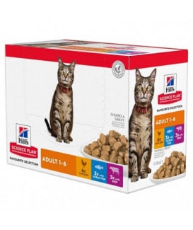 Chat Adult Pack Mixte Sachet repas