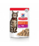 Chat Adult Pack Mixte Sachet repas