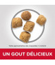 Chat Adult Light Poulet