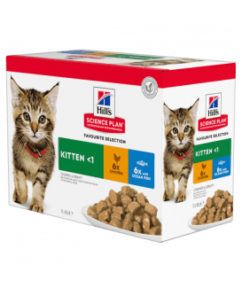 Chat Kitten Pack Mixte Sachet repas