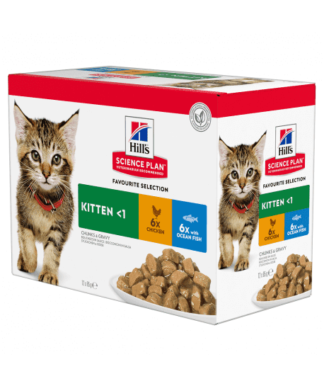 Chat Kitten Pack Mixte Sachet repas
