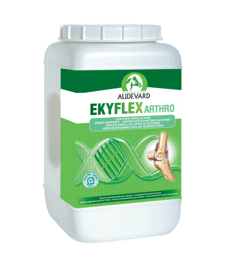 Ekyflex Arthro EVO