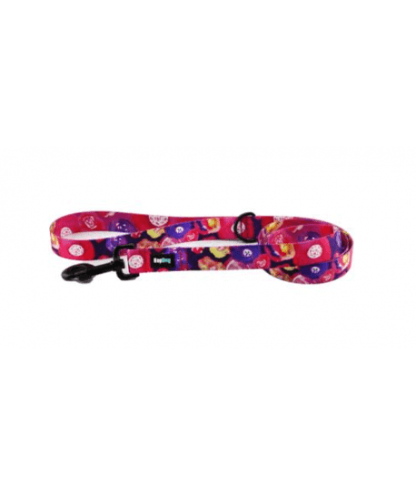 Laisse Hop Dog Purple