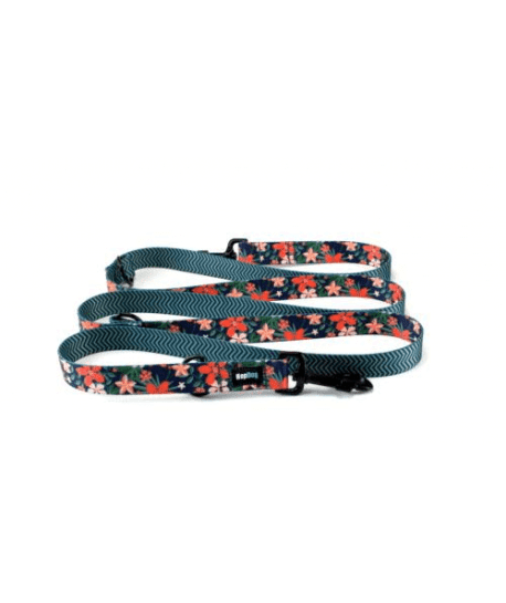 Laisse Hop Dog Royal Navy multiposition