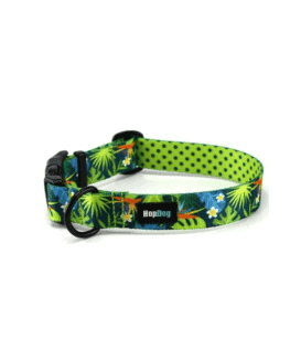 Collier Hop Dog Tropics Time