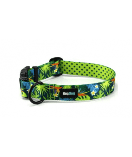 Collier Hop Dog Tropics Time