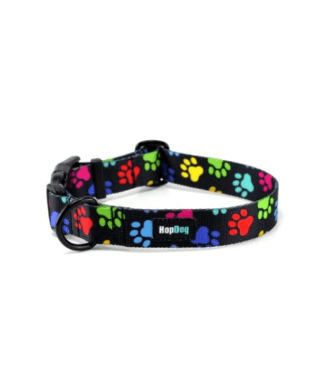 Collier Hop Dog Paw Wow