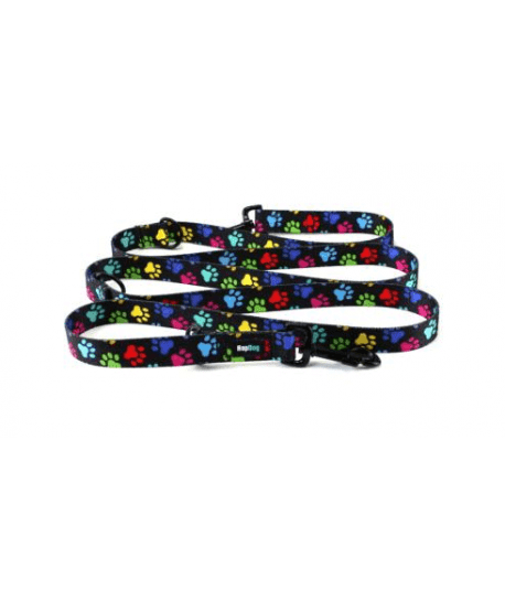 Laisse Hop Dog Paw Wow multiposition