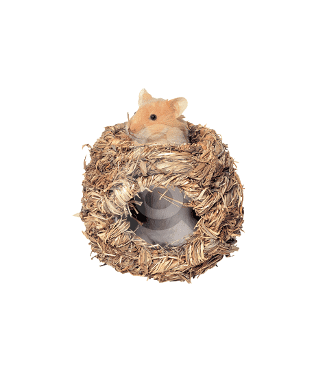 Nid végétal pour hamster