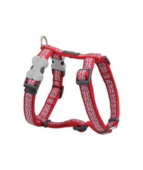 Harnais Red Dingo