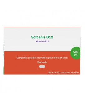 Sofcanis B12