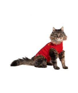 Gilet Pet Shirt pour chat