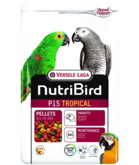 Nutribird Perroquets P15 Tropical (extrudé)