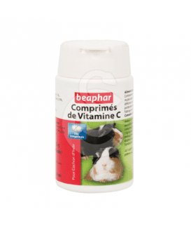 Vitamine C - Cochon d'inde