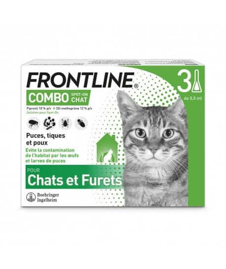 Frontline Combo Chat