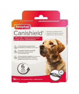 Canishield Collier Grand chien