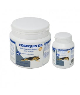 Cosequin DS