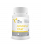 Urocline Chat