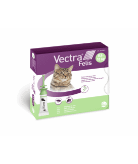 Vectra Felis