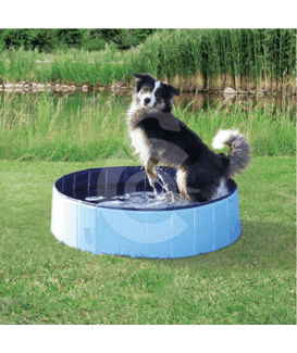 Piscine pour chien