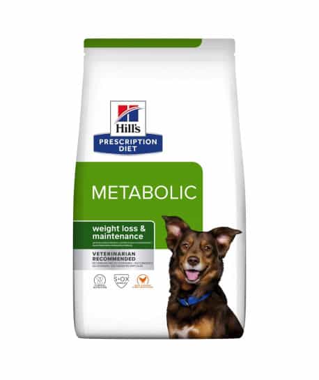 Chien Metabolic Poulet