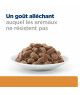 Chat K/D Kidney Sachet Repas Poulet