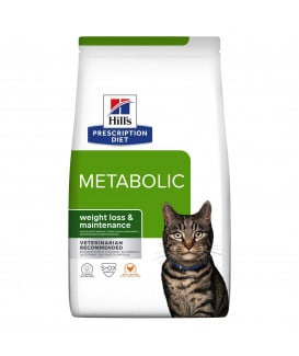 Chat Metabolic Poulet