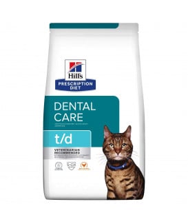 Chat T/D Dental