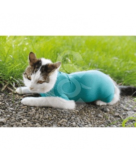 Gilet CatBody VetMedCare pour chat