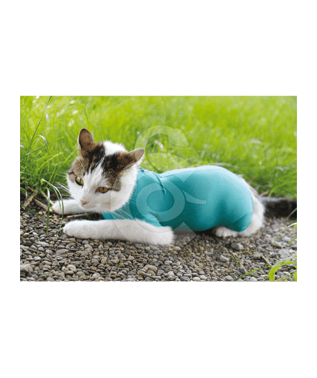 Gilet CatBody VetMedCare pour chat