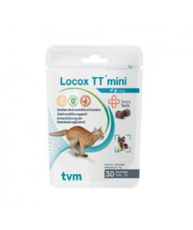 Locox TT Mini