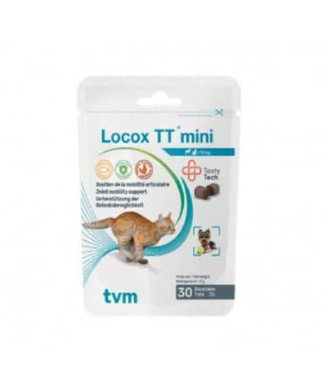 Locox TT Mini