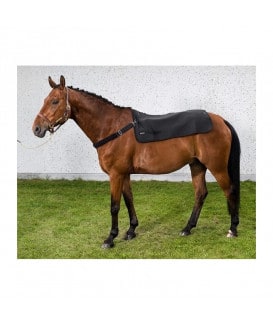 Protège dos Back Warmer Back On Track