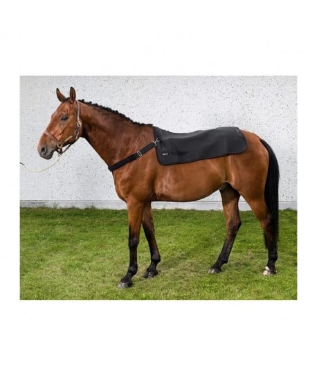 Protège dos Back Warmer Back On Track