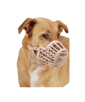 Muselière plastique avec courroie cuir