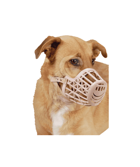 Muselière plastique avec courroie cuir