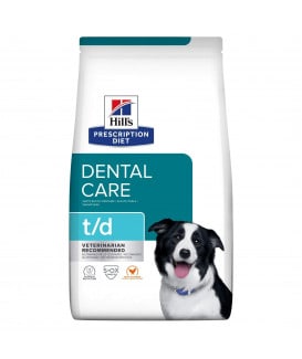 Chien T/D Dental