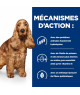 Chien Z/D Food Sensitivities Activ Biome+ Boîte