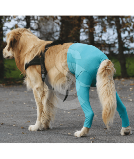 Gilet Protection arrière VetMedCare pour chien