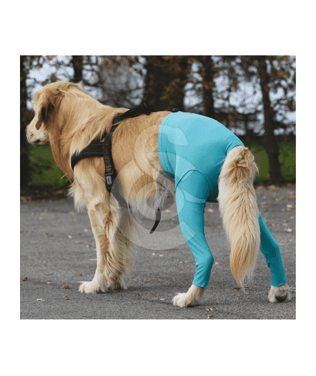 Gilet Protection arrière VetMedCare pour chien