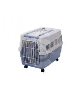 Cage Kim sur roulettes