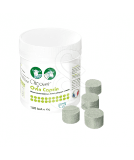 Oligovet Ovin Caprin