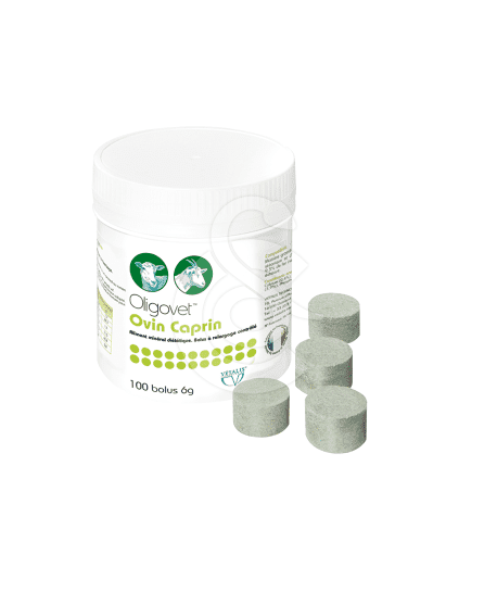 Oligovet Ovin Caprin