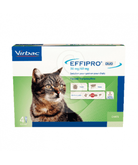 Effipro Duo 50 mg Spot On Chat