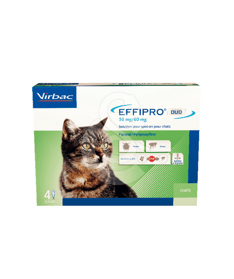 Effipro Duo 50 mg Spot On Chat