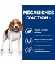 Chien R/D Weight Poulet