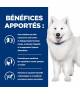 Chien K/D J/D+ Mobility Poulet