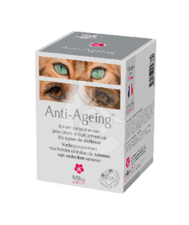 Anti-Ageing