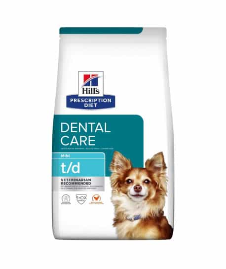 Chien T/D Dental Mini