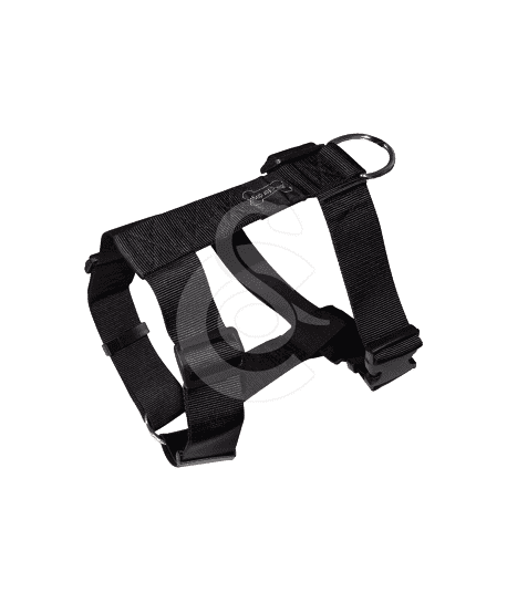 Harnais Wouapy Basic Line for Dogs